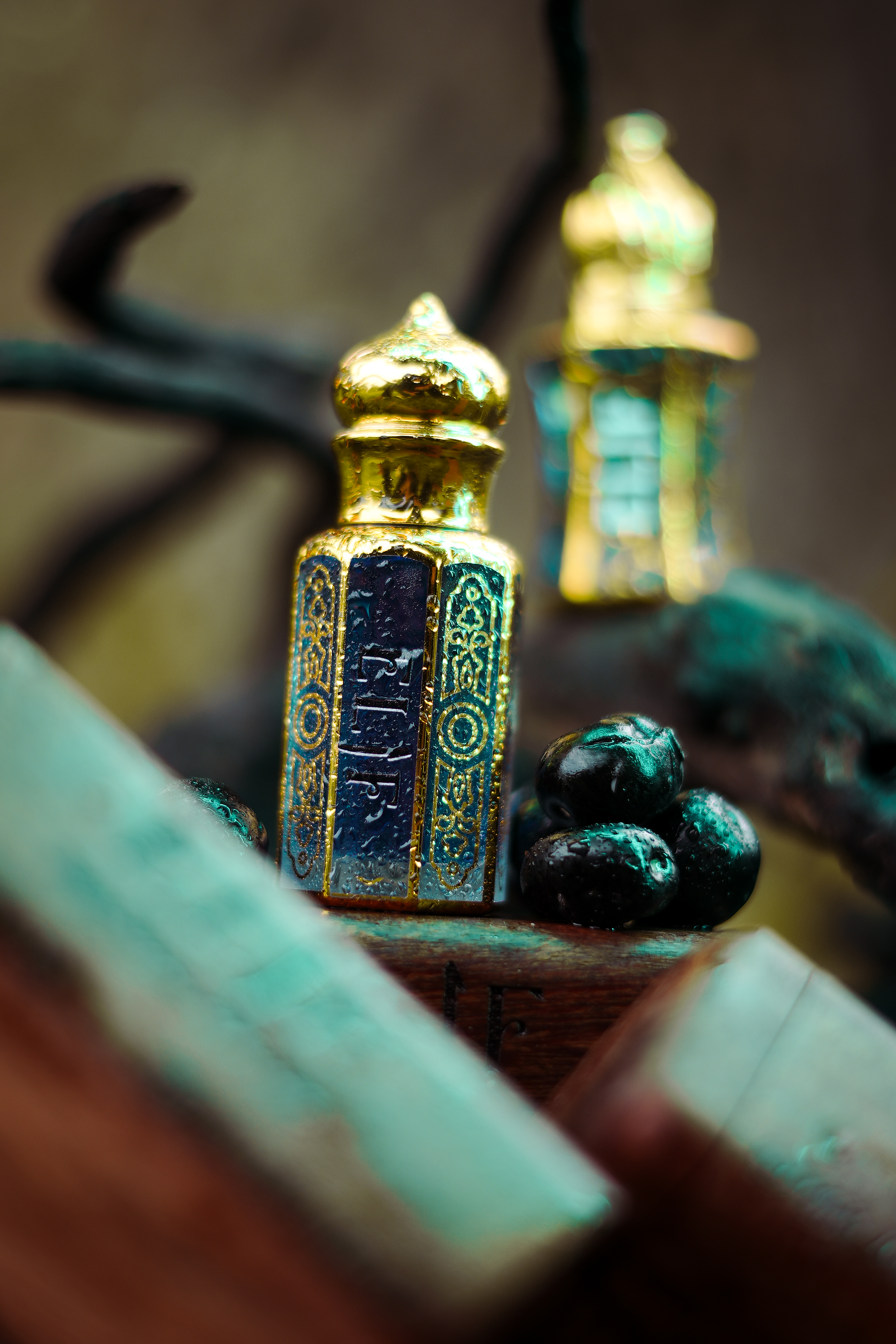 Elif attar graphic 3